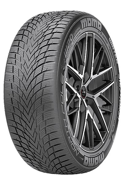175/65R14 T W-20 NORTH POLE XL MOMO